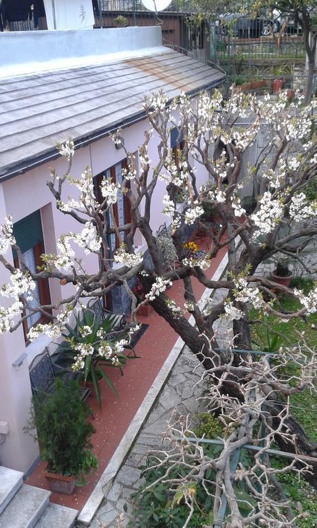 Casa Tra Il E Il Blu *