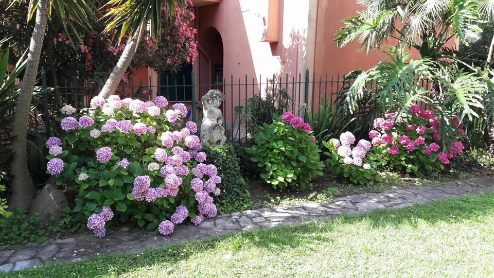 Casa Tra Il E Il Blu